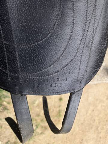 Selle Antares de dressage