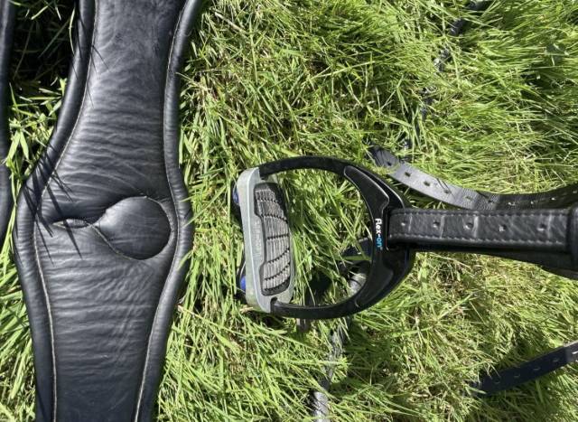 Belle Selle de dressage Childeric 17,5