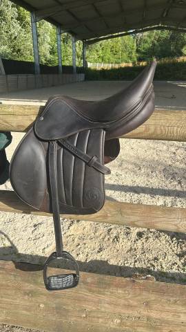 Selle forestier S&eacute;oul 2025