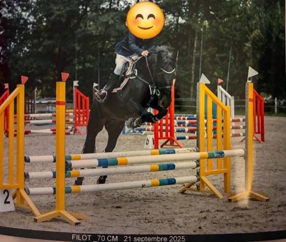 JUMENT -6 ans