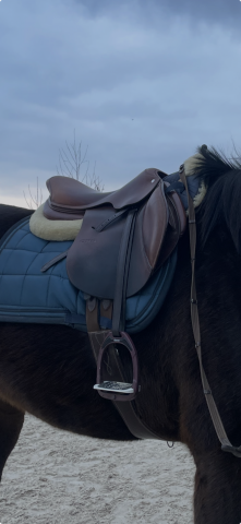 Selle Herv&eacute; Godignon 