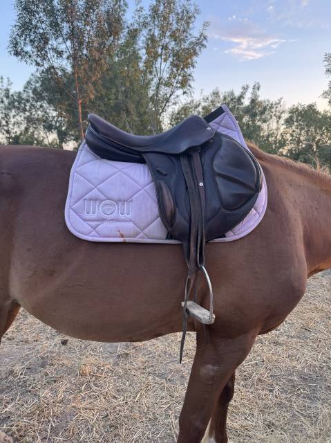 Selle devoucoux monoquartier