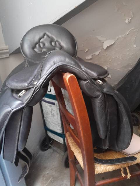 Selle dressage