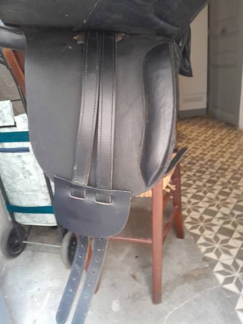 Selle dressage