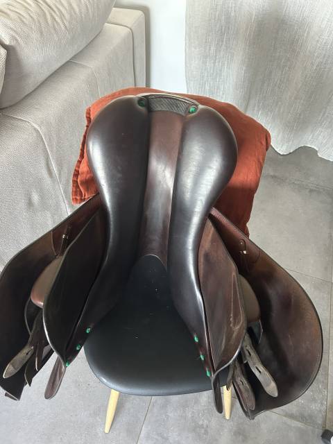 Selle &eacute;quipe sp&eacute;cial one 17,5 de 2022