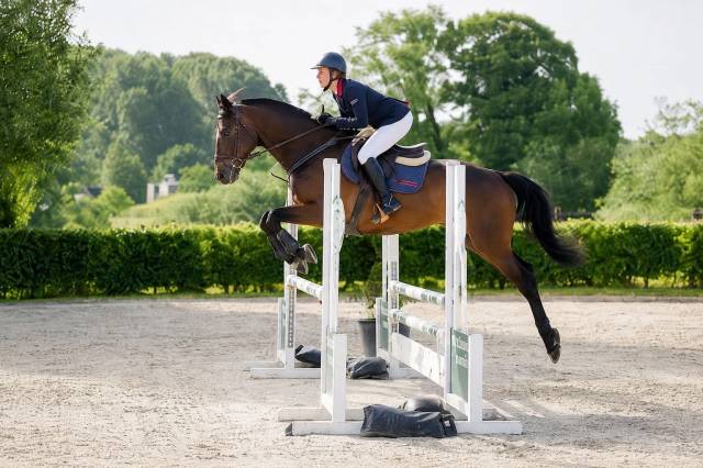 &Agrave; vendre cheval de 6 ans 