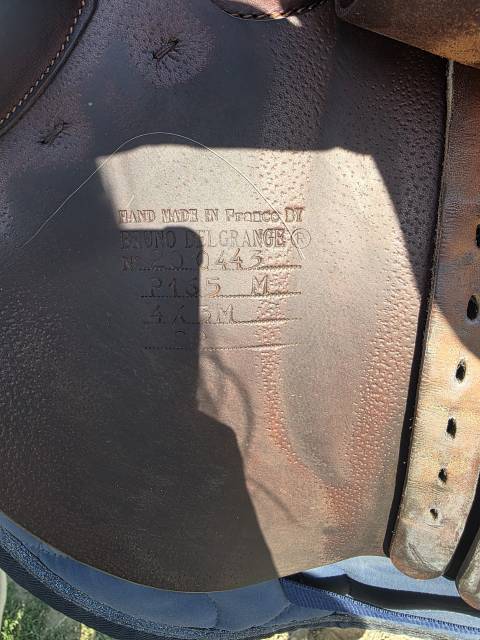 Selle 16.5 bruno Delgrange
