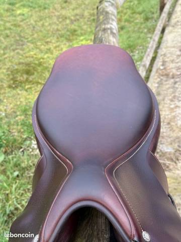 Selle Amerigo 17,5
