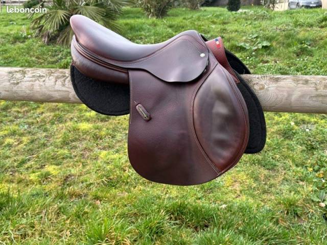 Selle Amerigo 17,5