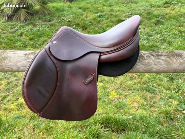 Selle Amerigo 17,5