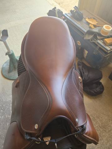 Selle renaissance plate cso