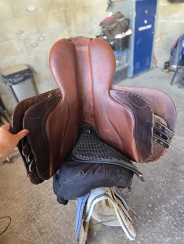 Selle renaissance plate cso