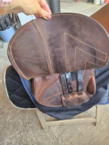 Selle renaissance plate cso