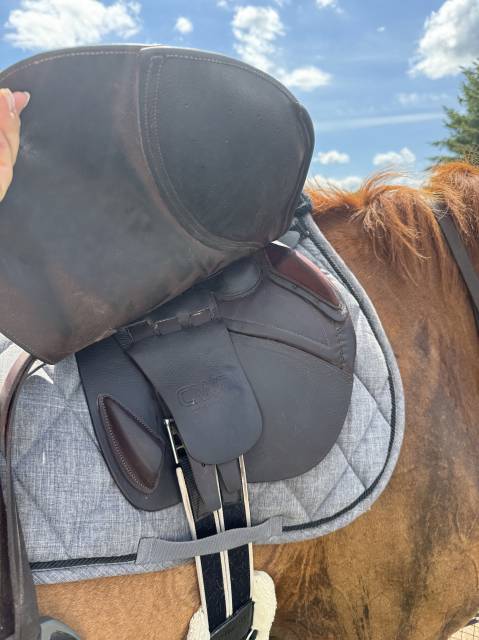 Selle CWD