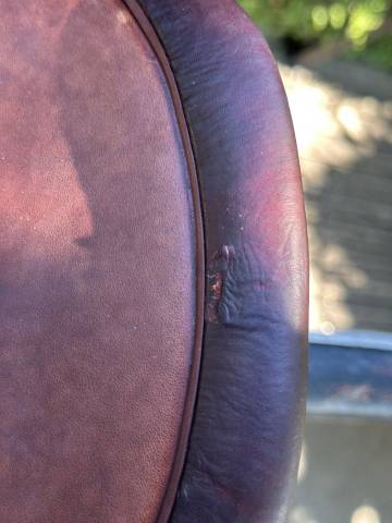 SELLE CWD 2gs mademoiselle A VENDRE 