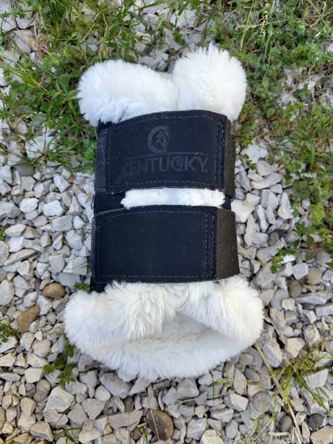 Protection dressage Kentucky 
