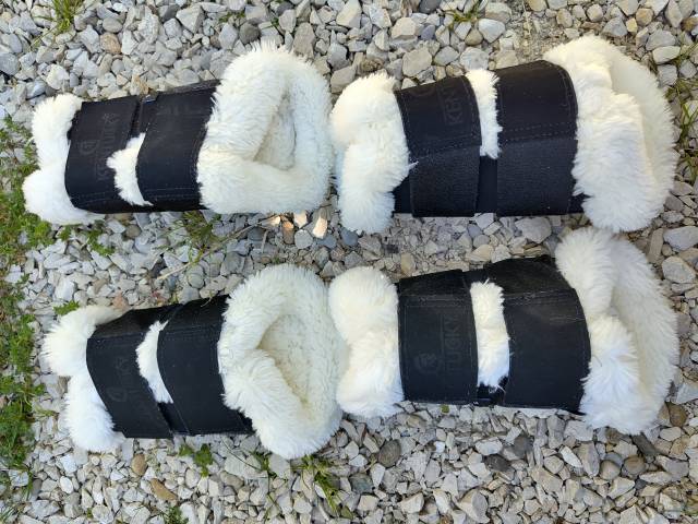 Protection dressage Kentucky 