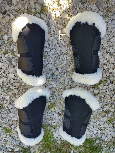 Protection dressage Kentucky 