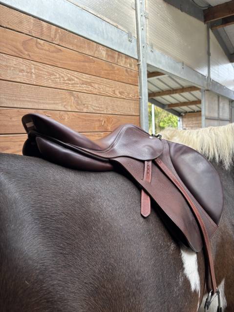Selle Antares 