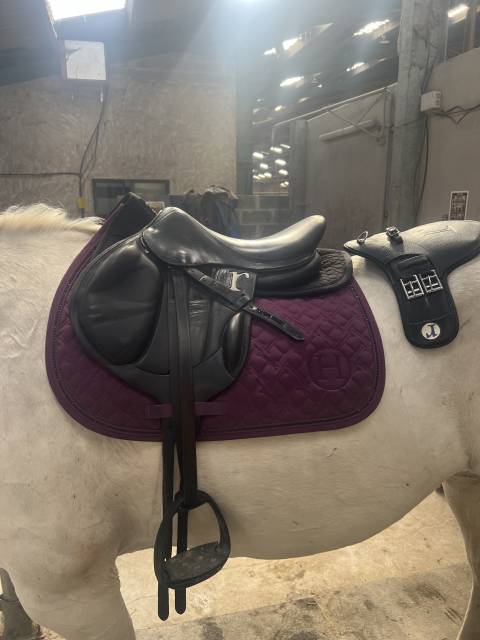 Selle rebelle 