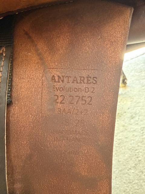 Selle mixte obstacle ANTARES &Eacute;volution D2 T18