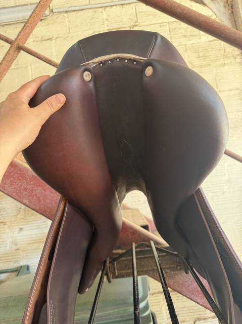 Selle mixte obstacle ANTARES &Eacute;volution D2 T18