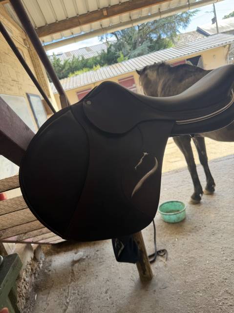 Selle mixte obstacle ANTARES &Eacute;volution D2 T18