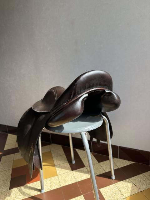 Selle Rebelle 