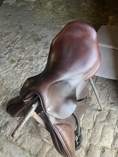 Selle mixte forestier 