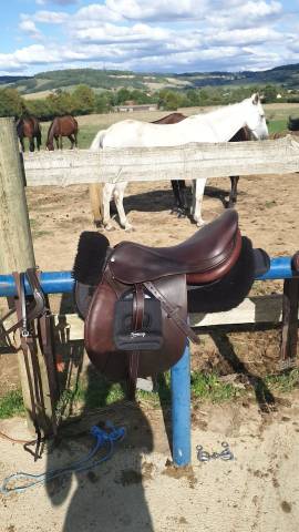 Selle mixte forestier 