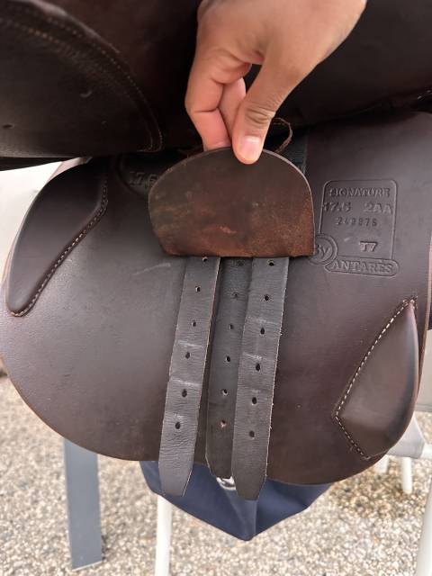 Selle Antares 2024 signature 
