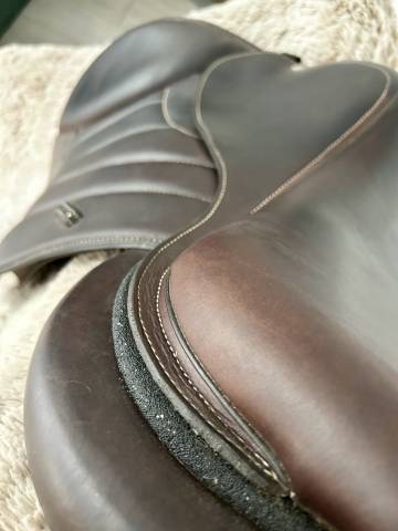 Selle forestier S&eacute;oul 2023