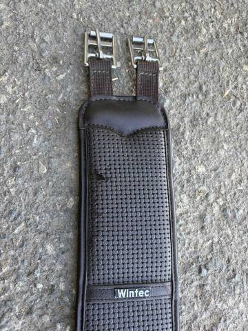 Sangle Longue Wintec