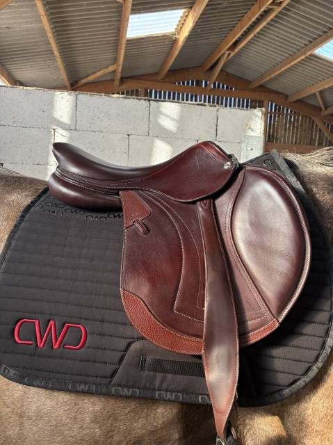 Selle cheval  17,5