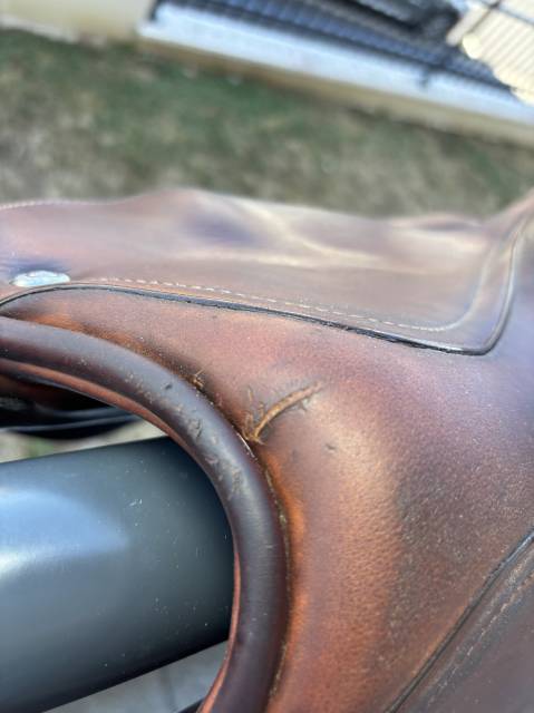 Selle Renaissance doubl&eacute; veau 2022 