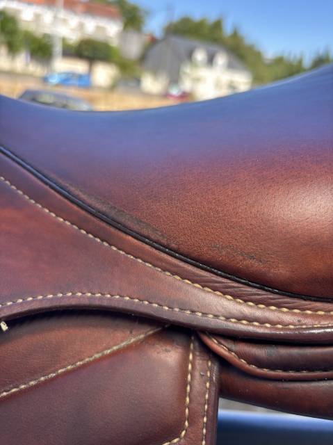 Selle Renaissance doubl&eacute; veau 2022 