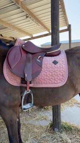 Cwd 2 gs mademoiselle 2025