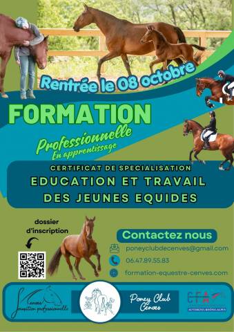 Formation CS &Eacute;ducation et Travail du jeune &eacute;quid&eacute;