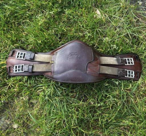 Sangle de dressage