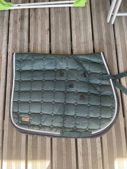 Tapis vert sapin