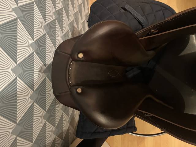 Selle antares