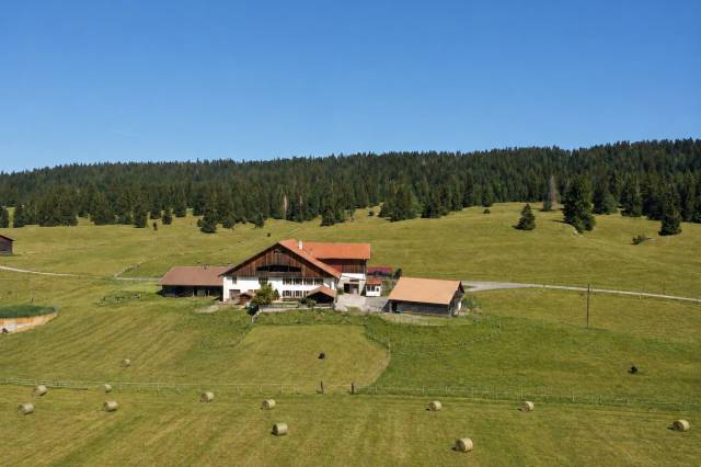 Ferme &eacute;questre avec stabulations