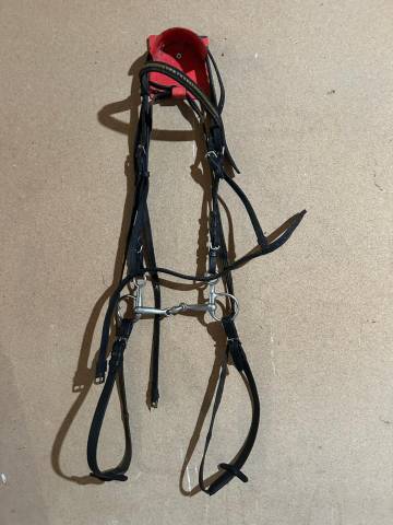 Filet equitation