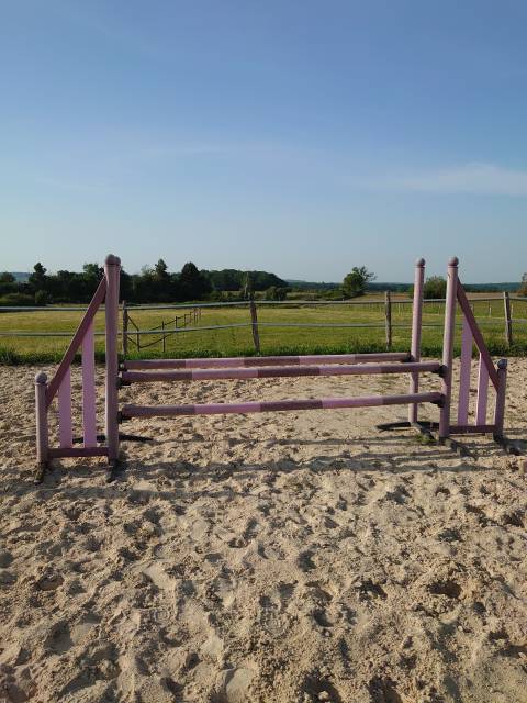 &Agrave; vendre 4 obstacles synth&eacute;tiques 