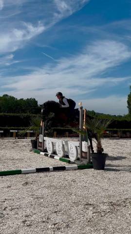 Bailarina, Magnigique jument de 4 ans 