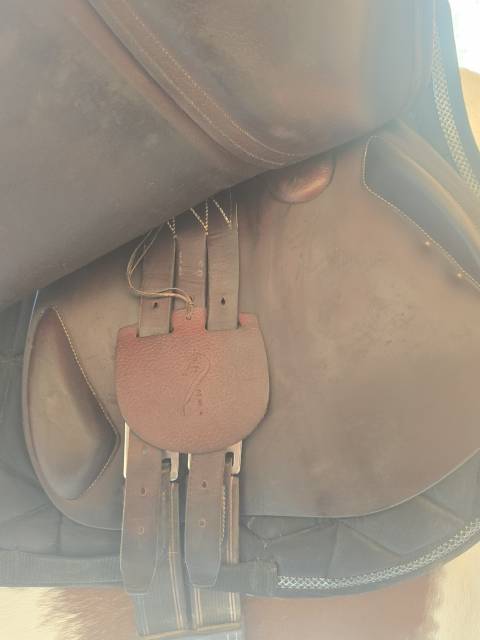 Selle antares 17,5