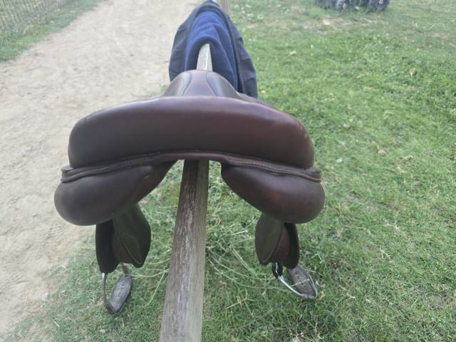 Selle antares 17,5