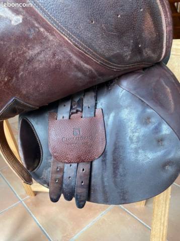 Selle mixte 17' Childeric