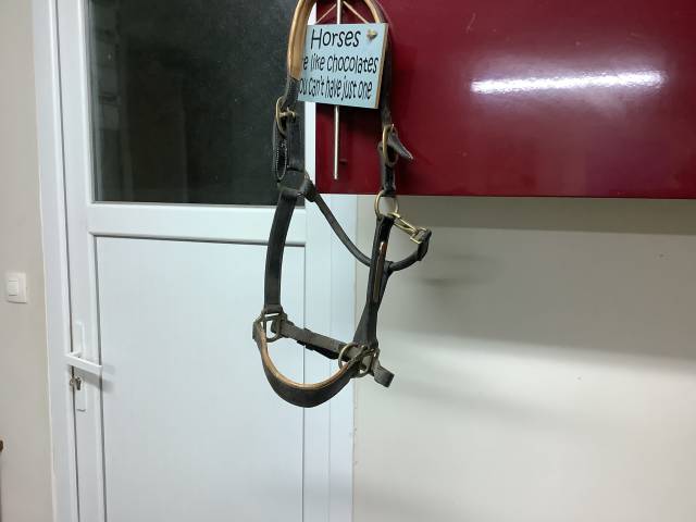 Ensemble complete de sellerie 350 euros