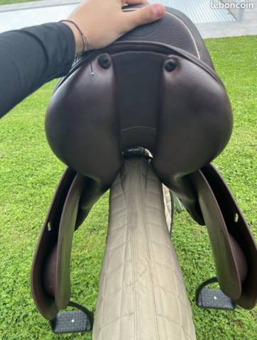 Selle prestige golden star 